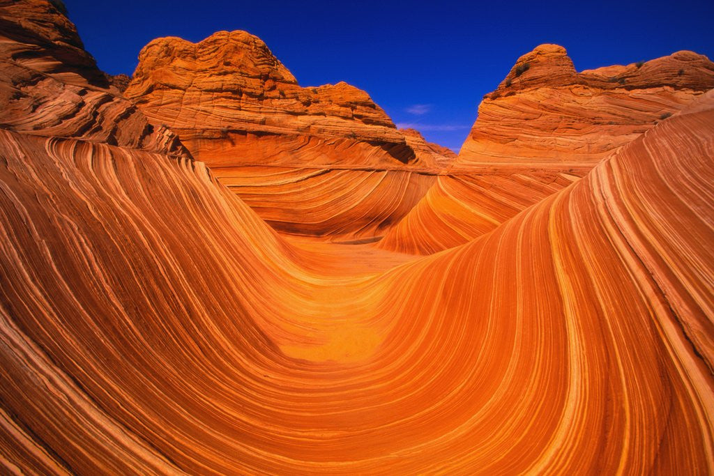 Detail of Coyote Butte's Sandstone Stripes by Anonymous