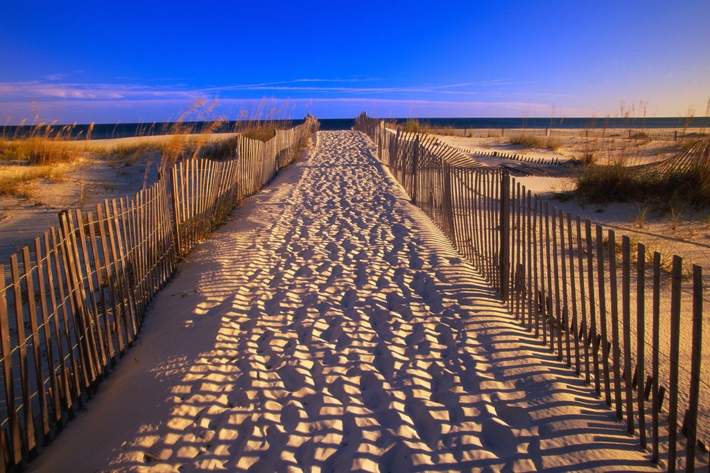 Detail of Sand Trail on Santa Rosa Island by Corbis