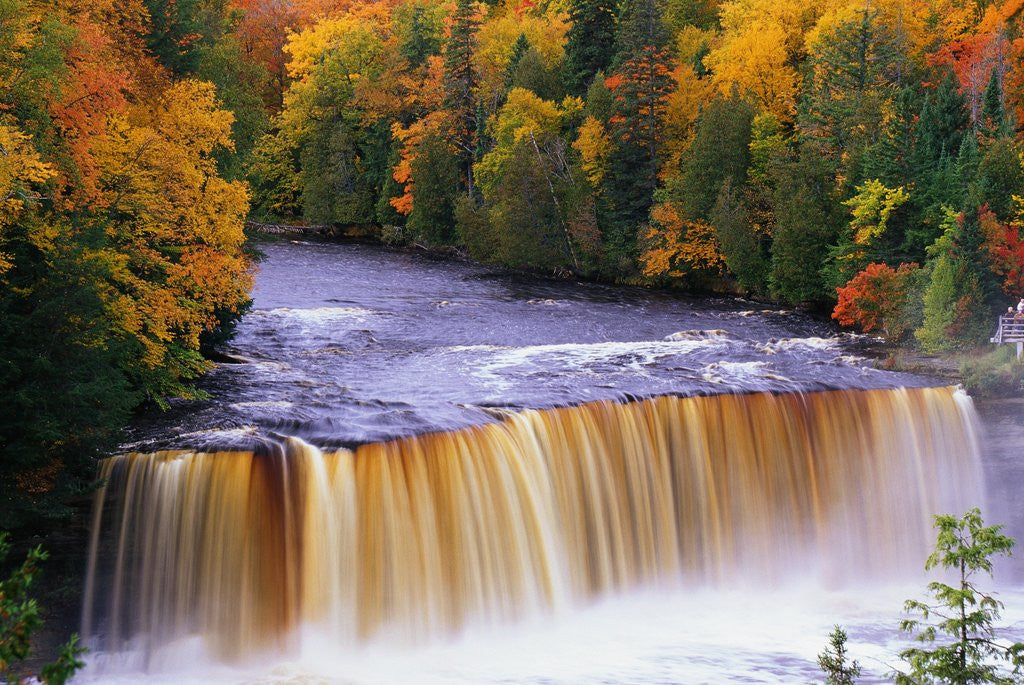 Detail of Tahquamenon Falls in Autumn by Anonymous