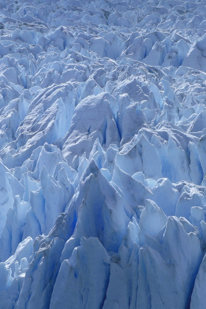 Detail of Close Up of Perito Moreno Glacier in Argentina by Anonymous