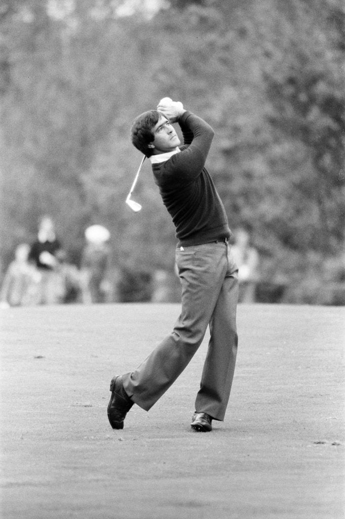 Detail of Golf 1983 by Peter Stone