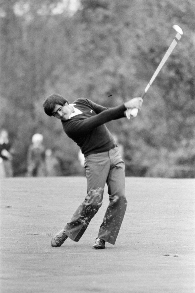 Detail of Golf 1983 by Peter Stone