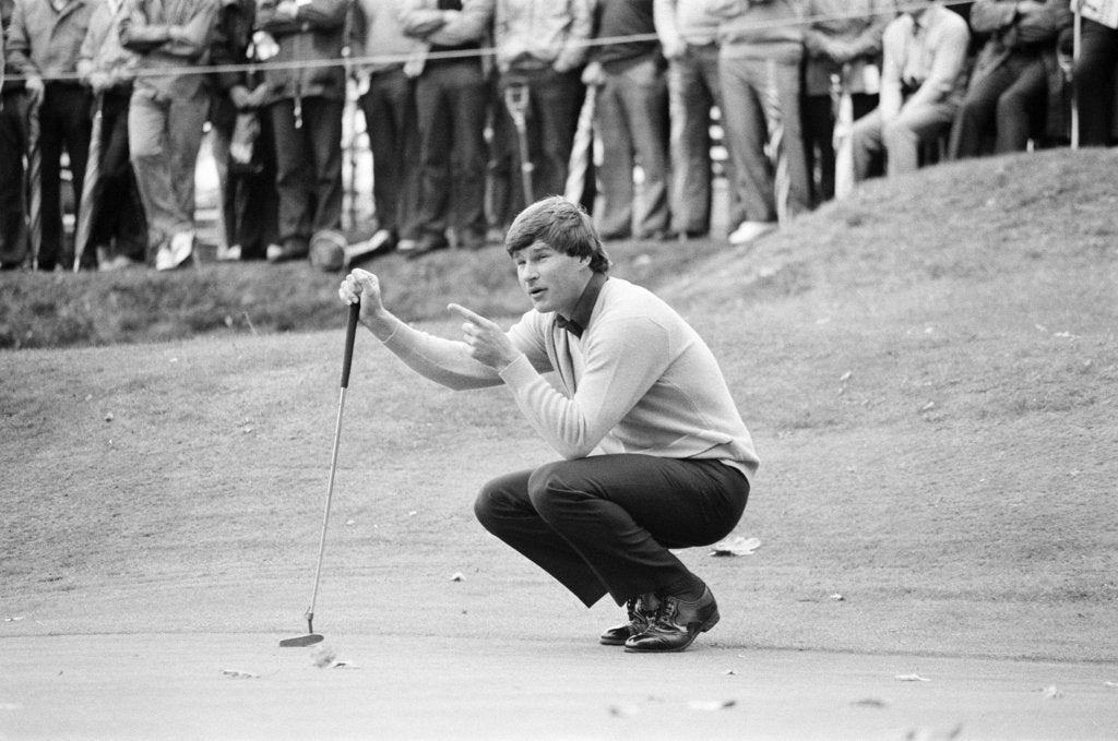 Detail of Golf 1983 by Peter Stone