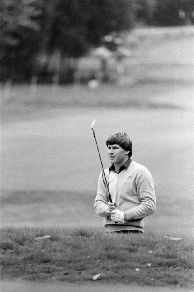 Detail of Golf 1983 by Peter Stone