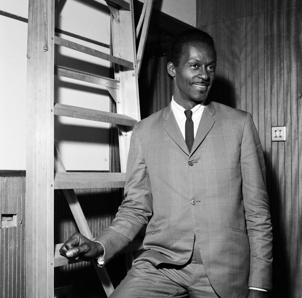 Detail of Chuck Berry, 1964 by George Greenwell