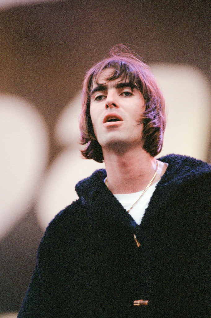 Detail of Oasis 1996 by Gunion