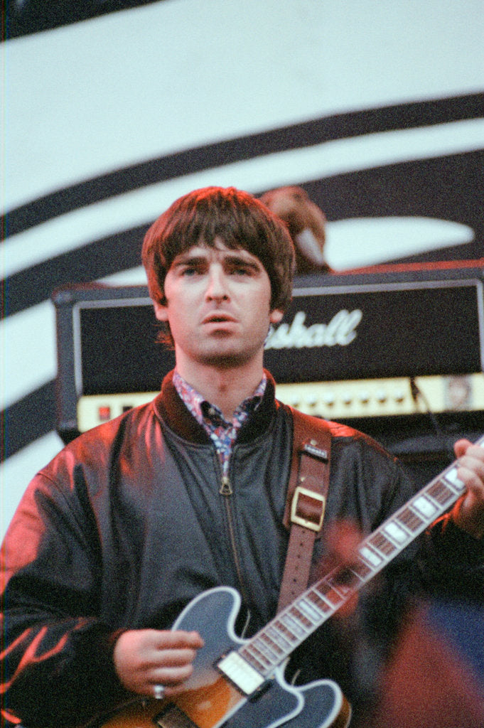 Detail of Oasis 1996 by Gunion