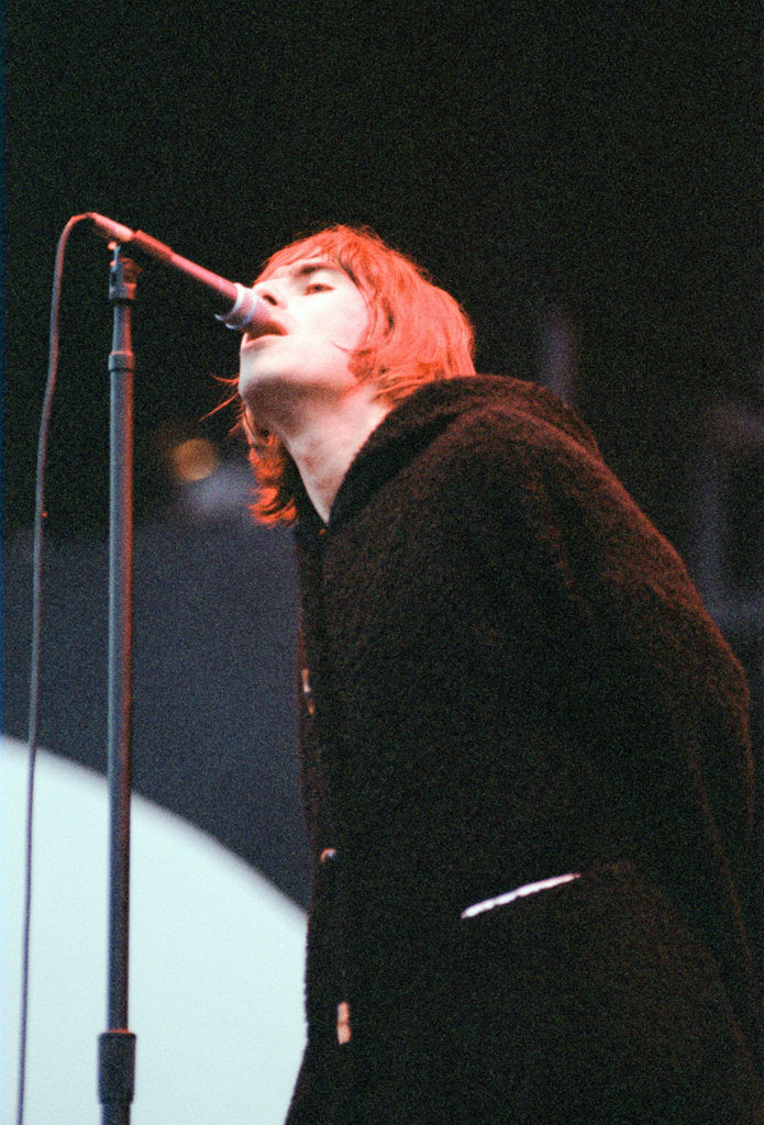 Detail of Oasis 1996 by Gunion