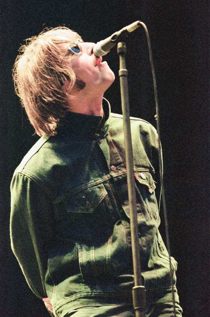 Detail of Oasis 1996 by Runnacles / Gunion