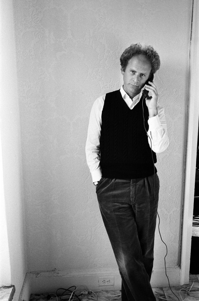 Detail of Art Garfunkel, 1980 by Michael Brennan