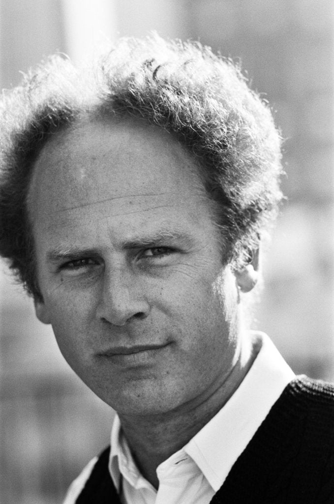 Detail of Art Garfunkel, 1980 by Michael Brennan