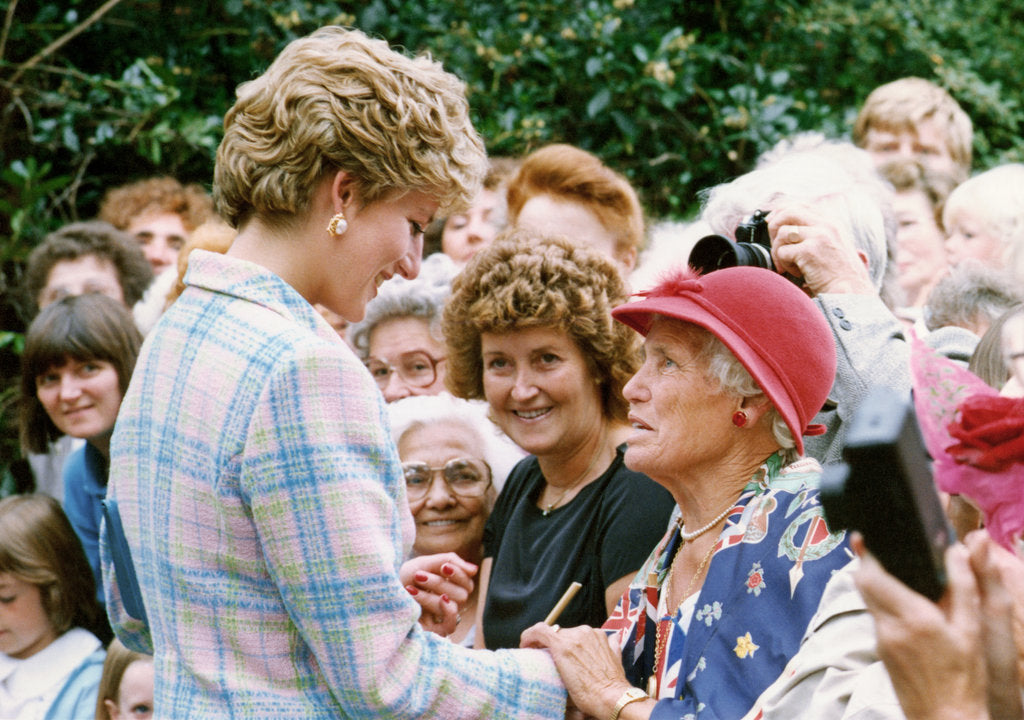 Detail of Princess Diana, North East visit to Relate Charity by Anonymous