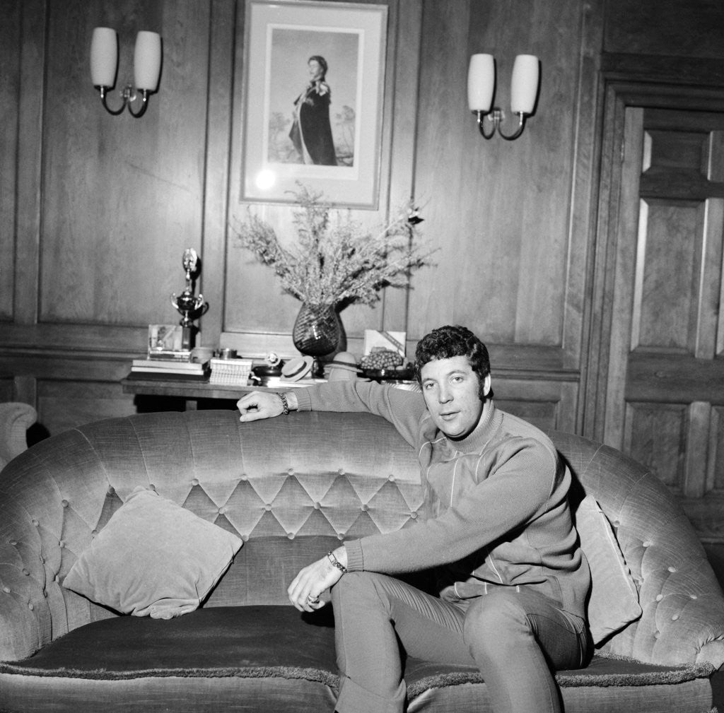 Detail of Tom Jones by Bela Zola