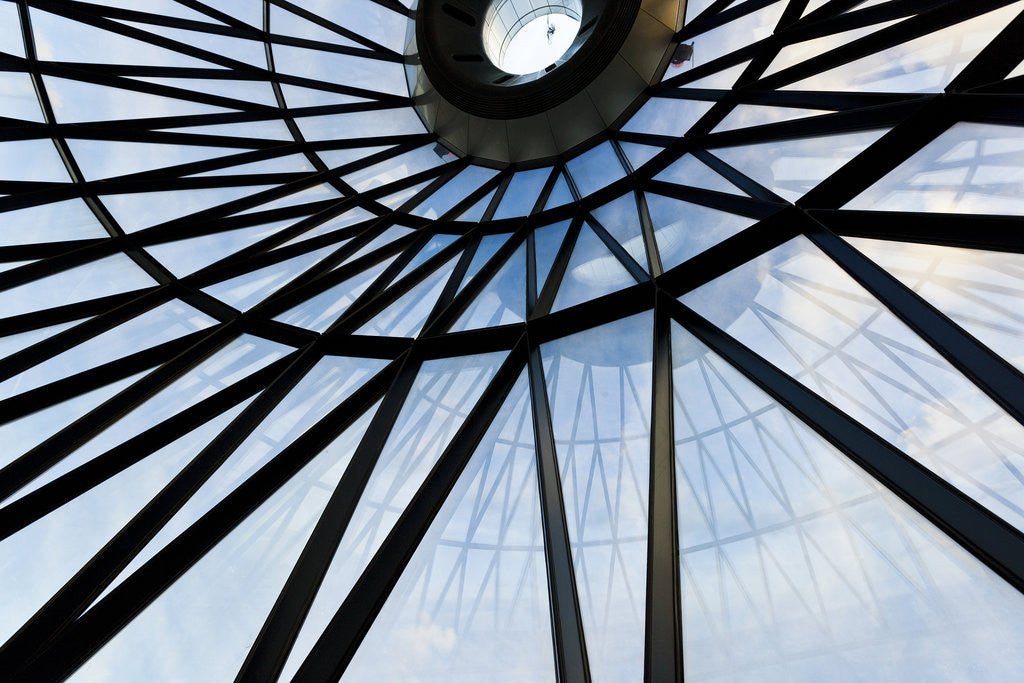 Detail of Fosters Eye 1 by Joas Souza