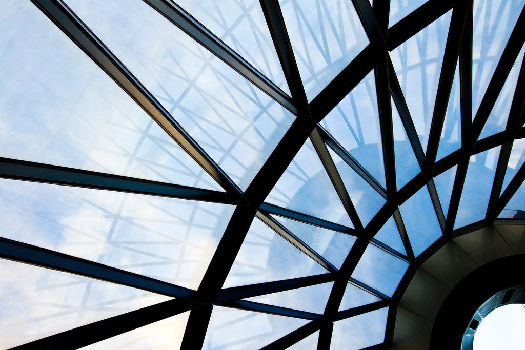 Detail of Fosters Eye 2 by Joas Souza