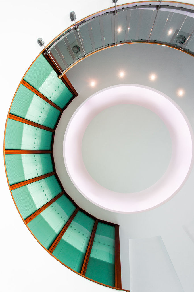 Detail of Ammonite by Joas Souza