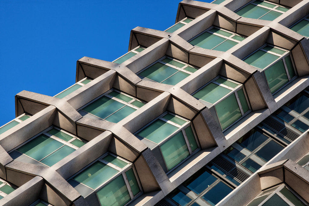 Detail of Centre Point Centipede by Joas Souza