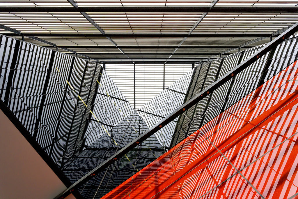 Detail of Rubro-Negro Lines by Joas Souza