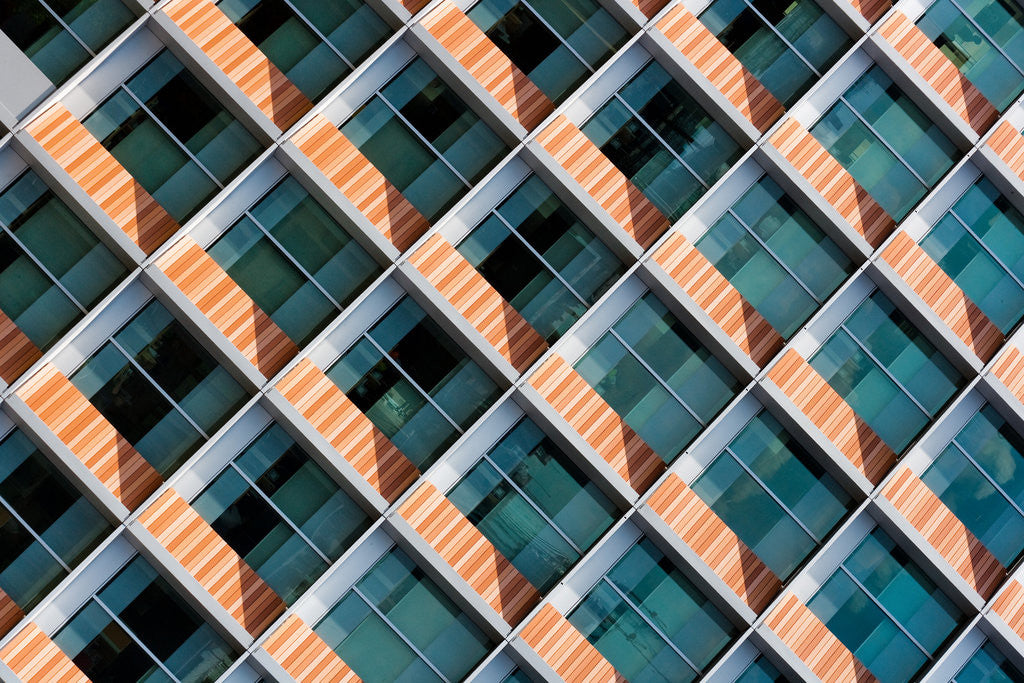 Detail of Honeycomb by Joas Souza