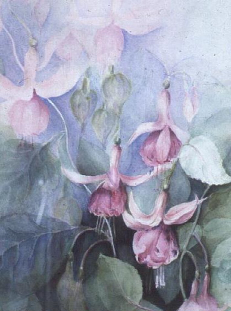 Detail of Fuschia, pink coachman by Karen Armitage