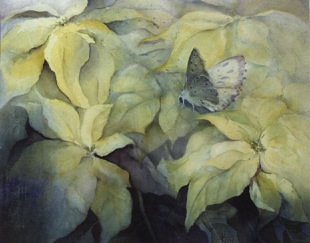 Detail of Cream Poinsettia with butterfly by Karen Armitage