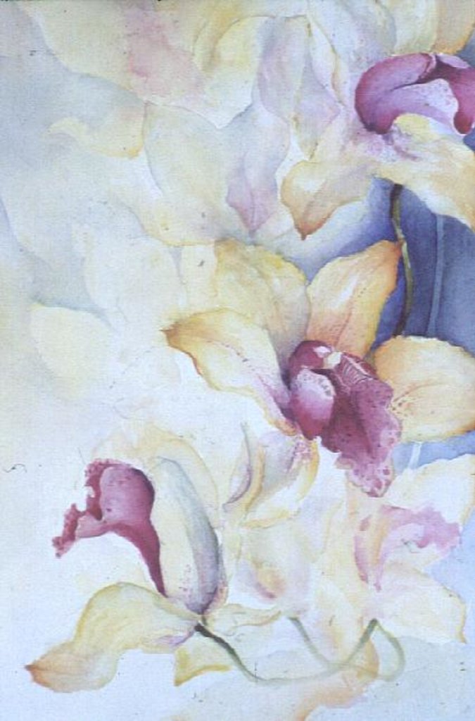 Detail of Orchid, Cymbidium, Prince Charles by Karen Armitage