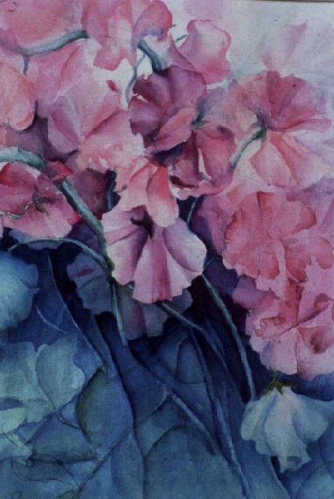 Detail of Sweet Peas, Pink Pride (vertical) by Karen Armitage