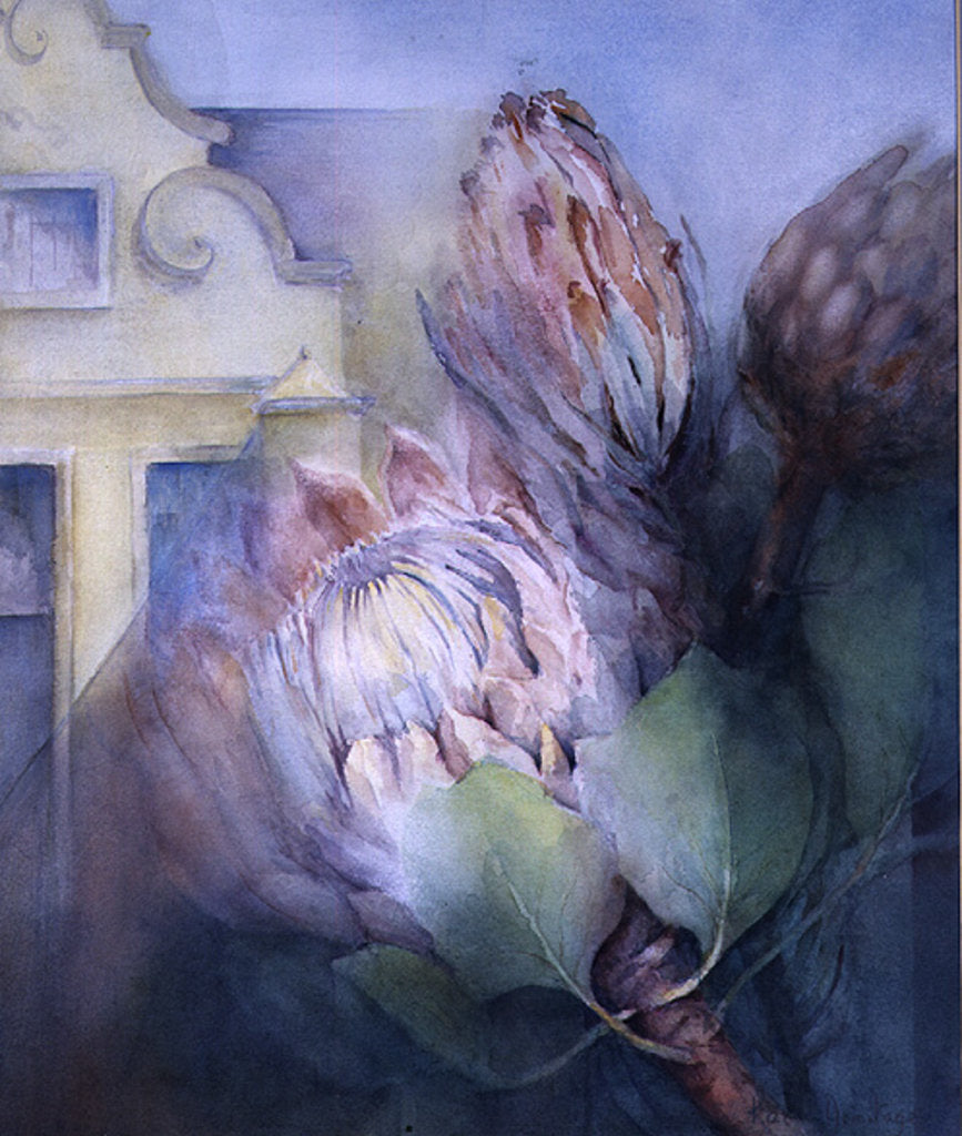 Detail of Protea at Stellenbosch, 1992 by Karen Armitage