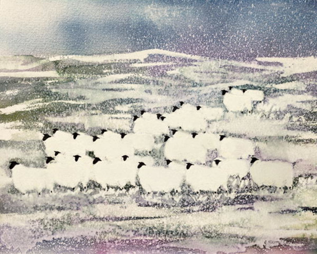 Detail of Sheep in Winter by Suzi Kennett