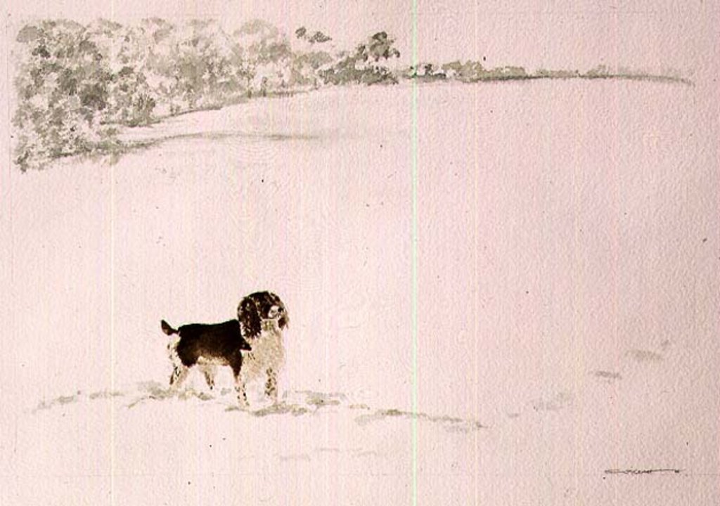 Detail of Springer Spaniel in the Snow by Suzi Kennett