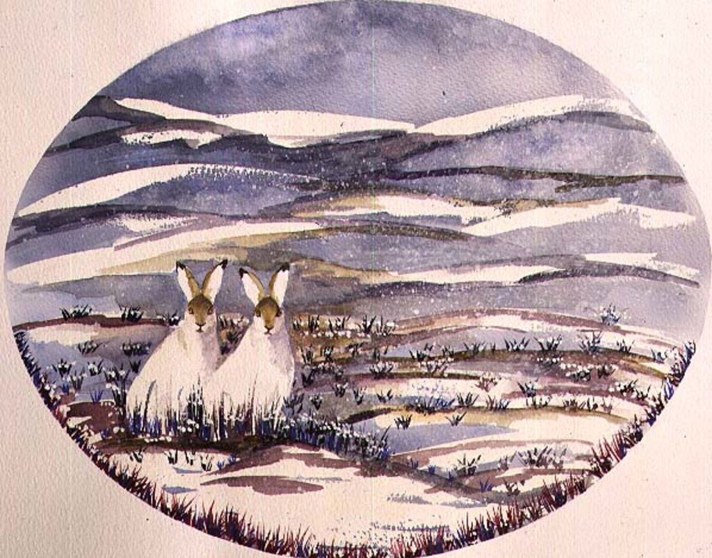 Detail of Two Hares in a Snowy Landscape by Suzi Kennett