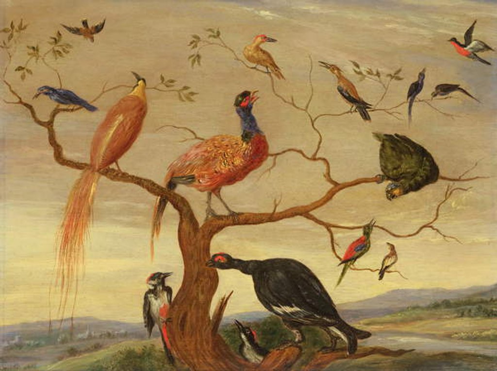 Detail of A Concert of Birds by Jan van the Elder Kessel