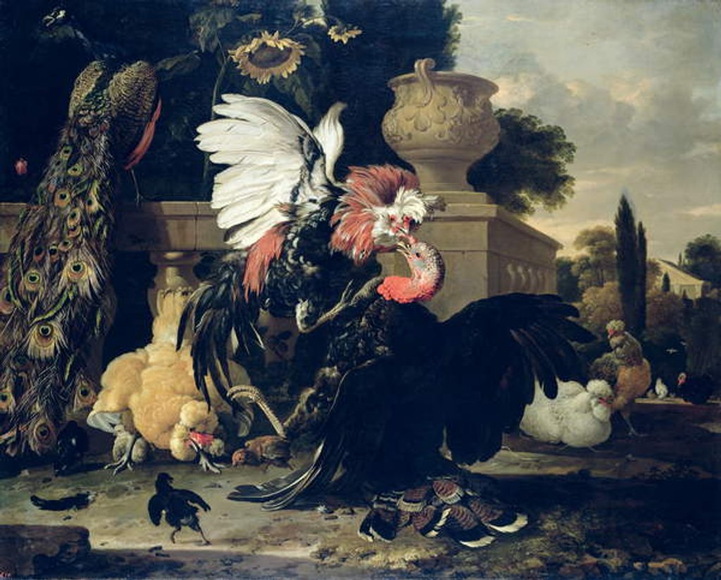 Detail of Fight between a Rooster and a Turkey, 1668 by Melchior de Hondecoeter
