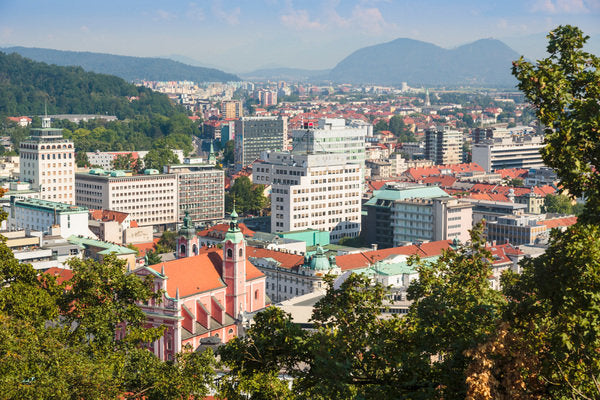 Detail of Overall view of Ljubljana, Slovenia by Anonymous