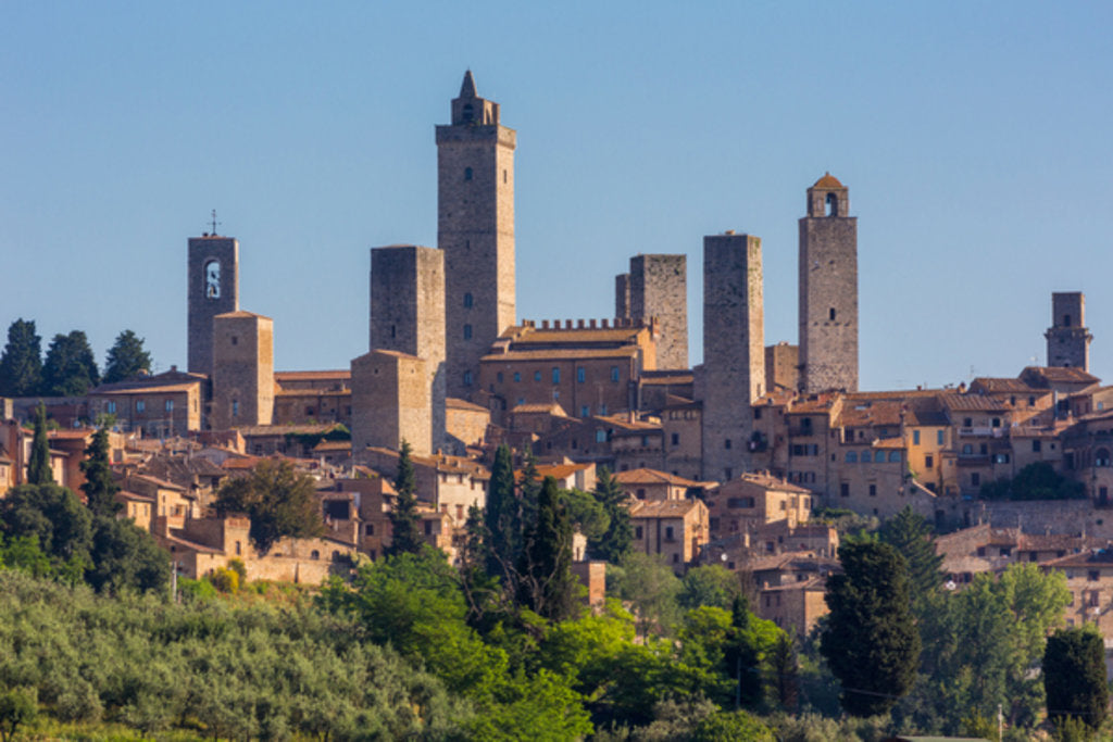 Detail of The famous towers of the medieval town, San Gimignano by Anonymous