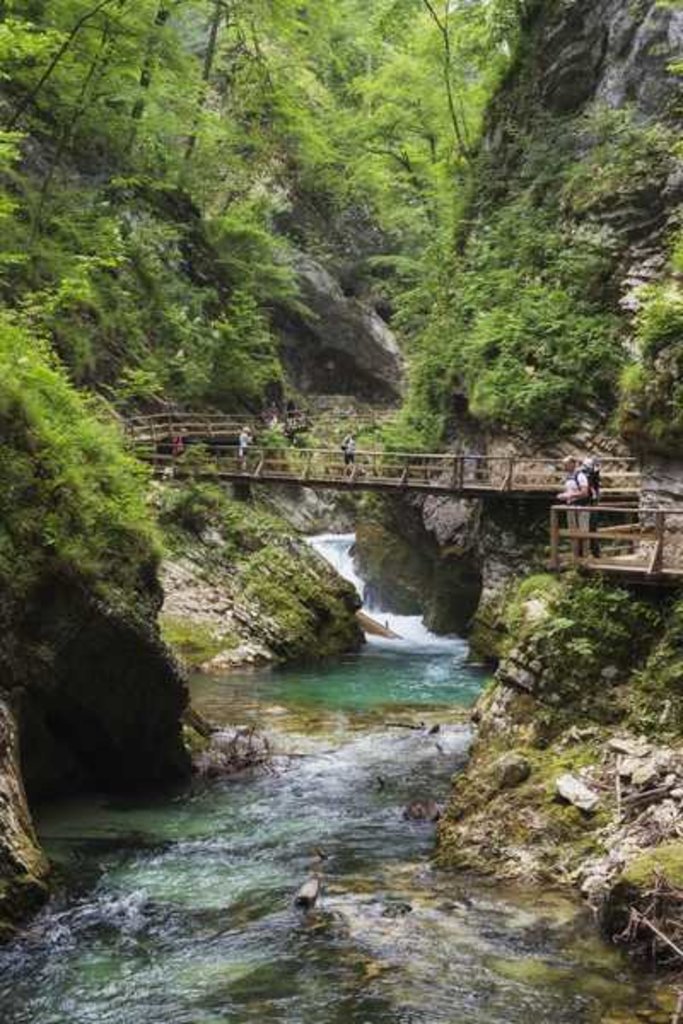 Detail of Visitors walking on wooden walkways which run the length of the Vintgar Gorge near Bled, Triglav by Anonymous