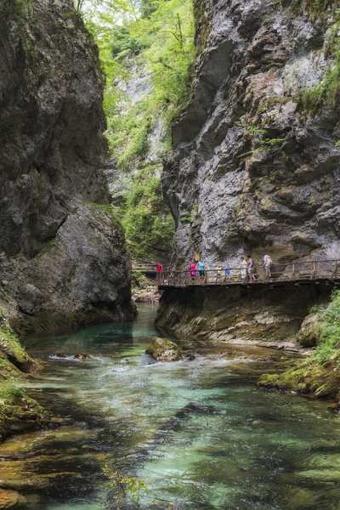 Visitors walking on wooden walkways which run the length of the Vintgar Gorge near Bled, Triglav by Anonymous