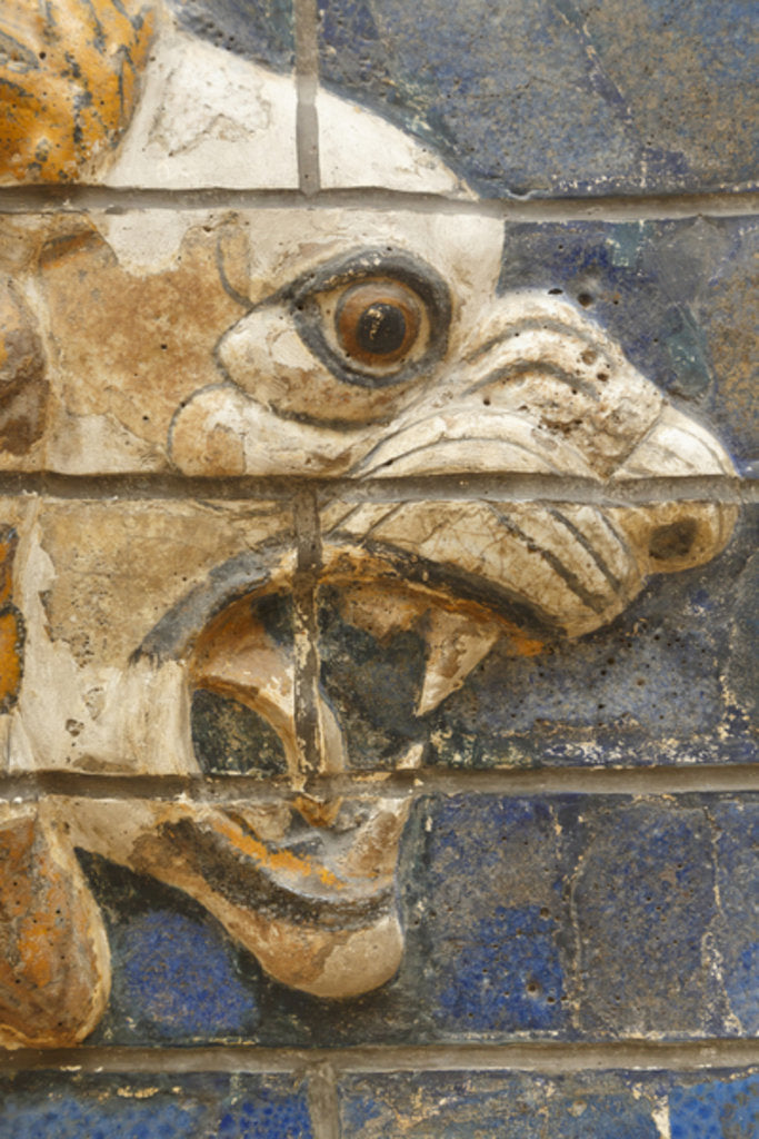 Detail of Glazed brick lion in relief from the 'procession street', Babylon by Babylonian Babylonian