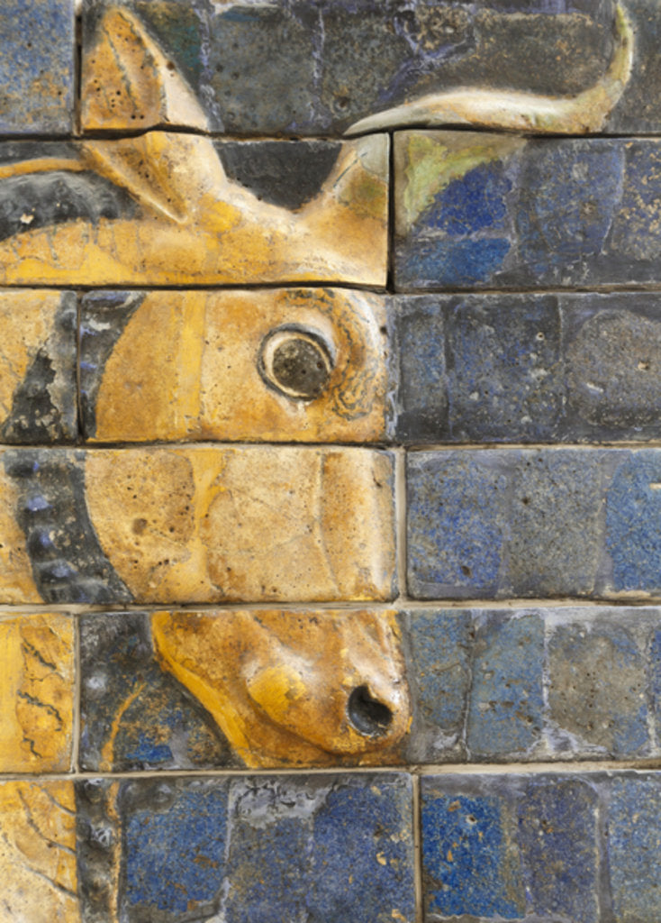 Detail of Glazed brick bull in relief from the Ishtar Gate, Babylon by Anonymous