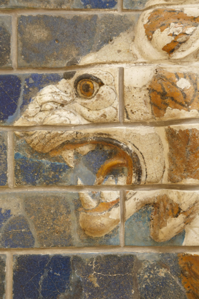 Detail of Glazed brick lion in relief from the 'procession street', Babylon by Anonymous