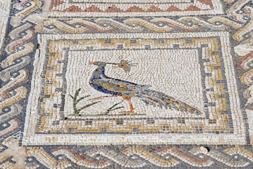 Detail of Italica, Spain. Mosaics by Anonymous