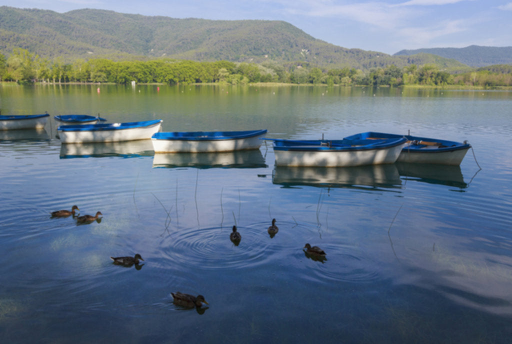 Detail of Banyoles, Spain. The lake by Anonymous