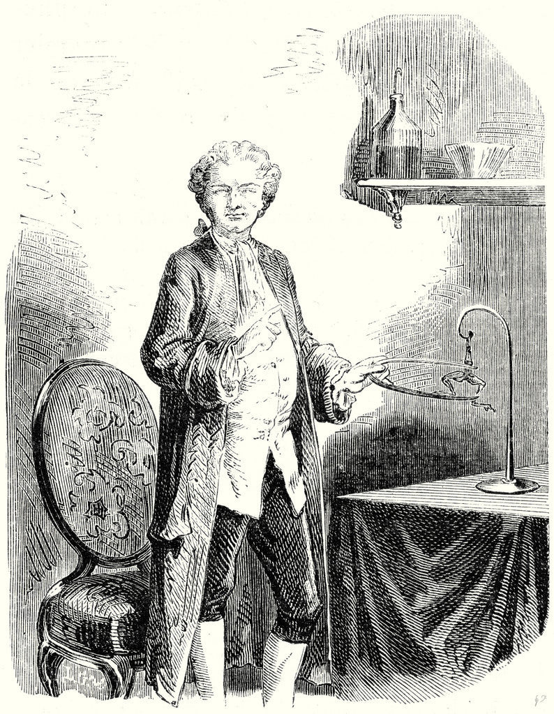Detail of Galvani Causes Contractions in a Frog with a Metal Bow by Anonymous