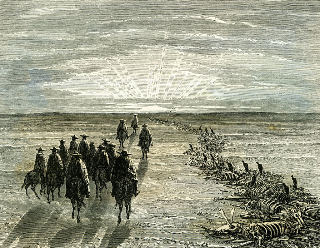 Detail of Pampa 1869 Peru by Anonymous