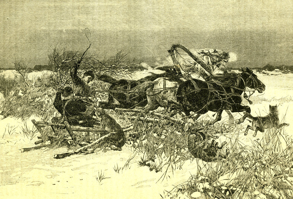 Detail of Austria Wolves 1891 by Anonymous