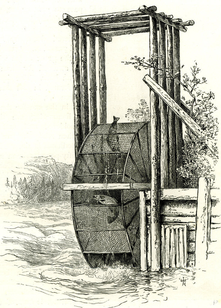 Detail of A Salmon Wheel on the Columbia River 1891 USA by Anonymous