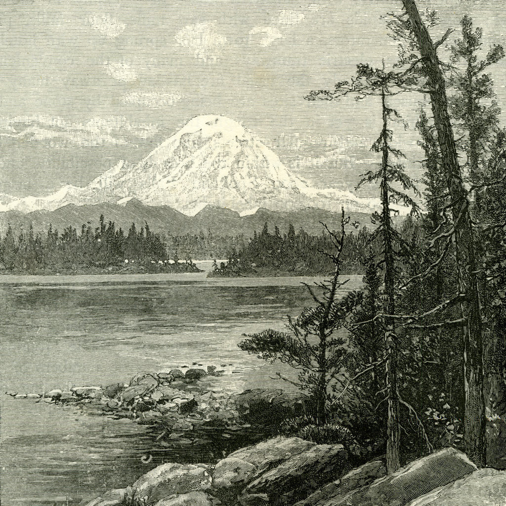 Detail of Mount Tacoma 1891 USA by Anonymous
