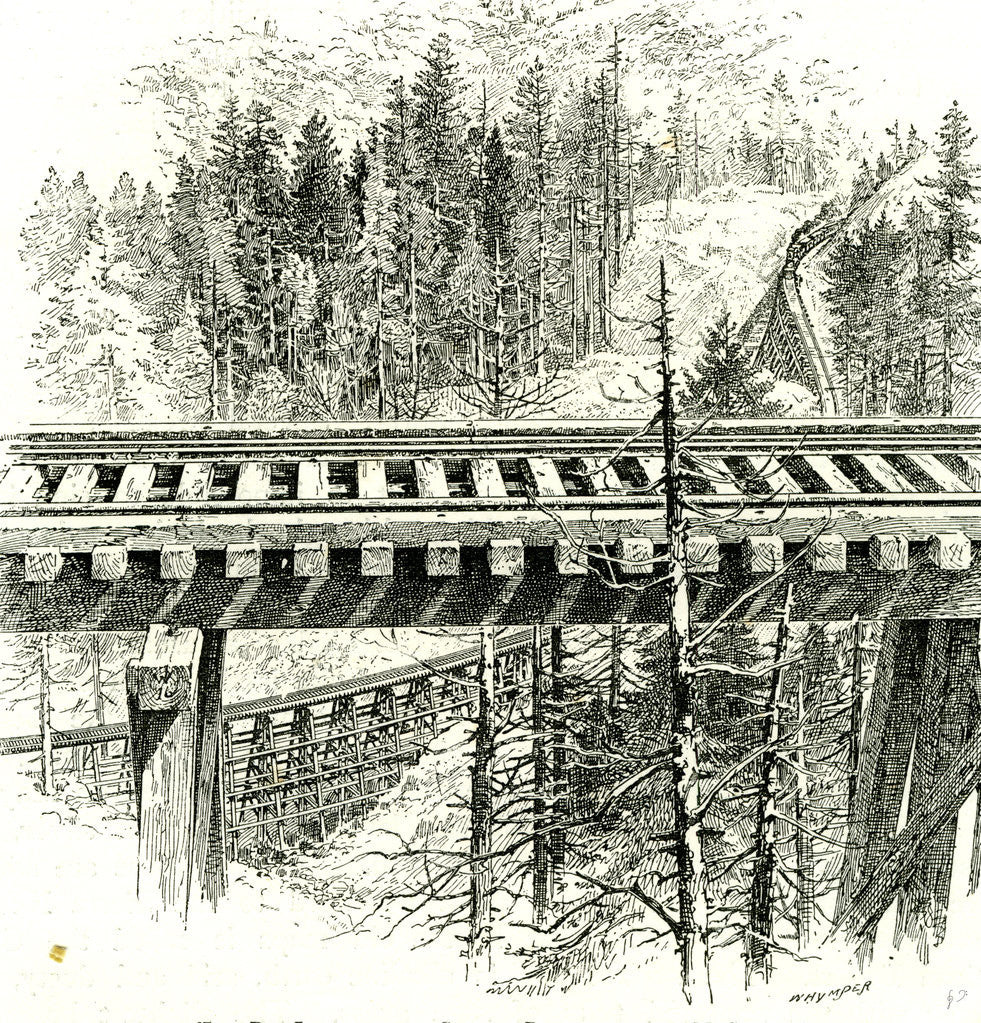 Detail of The Big Loop on the Shasta Railway Near Mccloud 1891 USA by Anonymous