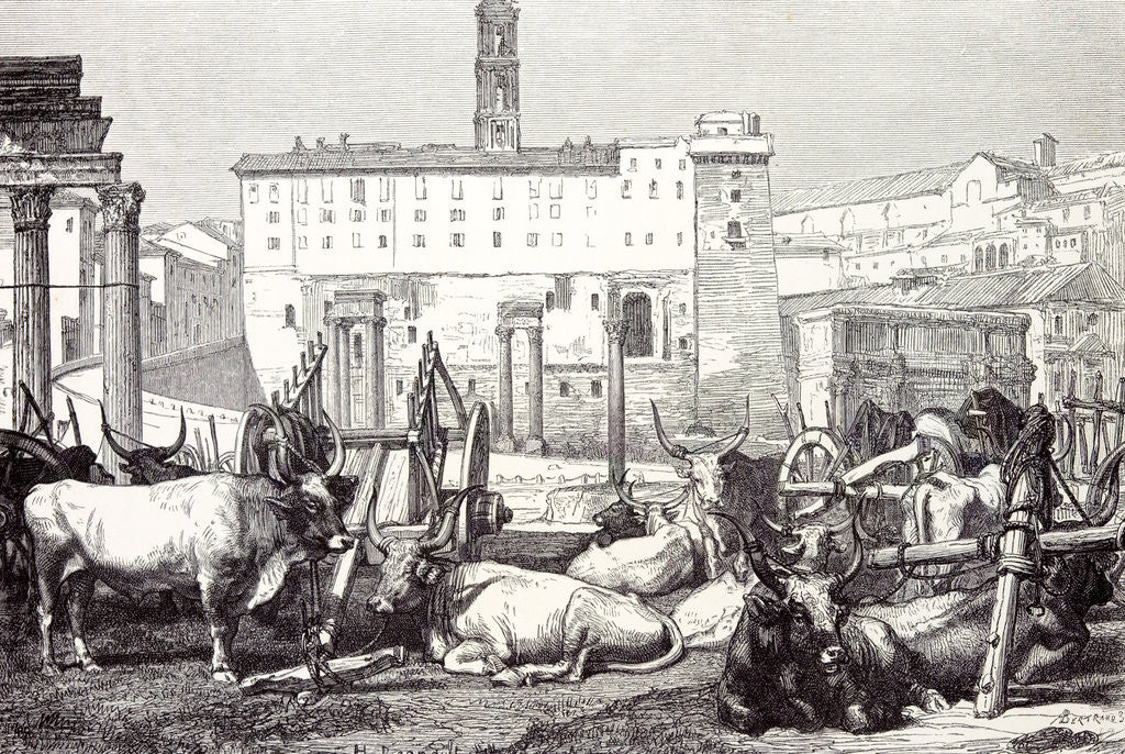 Detail of Rome Italy 1875 The Roman Forum by Anonymous