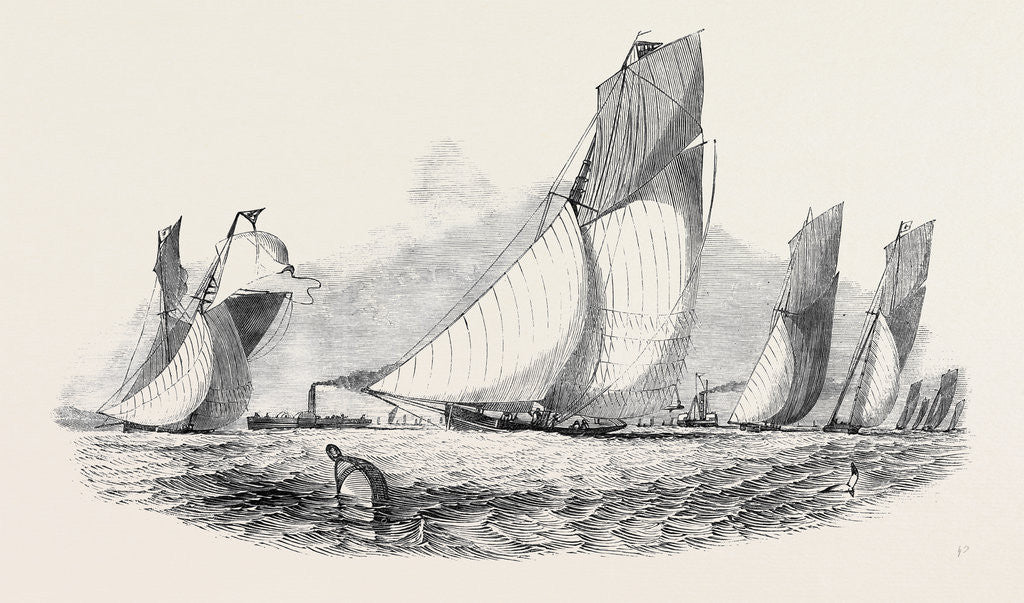 Detail of The Royal Thames Yacht Club Match; Mystery, Antagonist, Belvidere, Vixen, Prima Donna by Anonymous